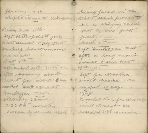 Faded scans of diary excerpts.