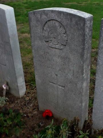 Headstone of Roy O'Neill with singular red poppy
