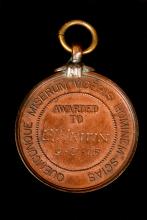 Image depicts bronze-coloured surf life saving medal.