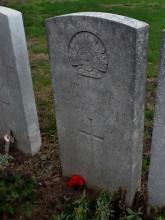 Headstone of Roy O'Neill with singular red poppy